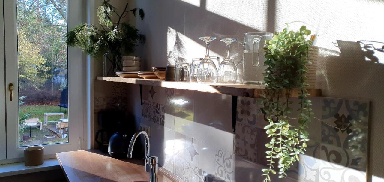 Apartmán Vogtlandperle Oelsnitz  Exteriér fotografie